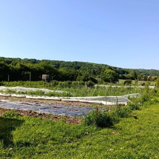  Terrain � vendre 200 m�