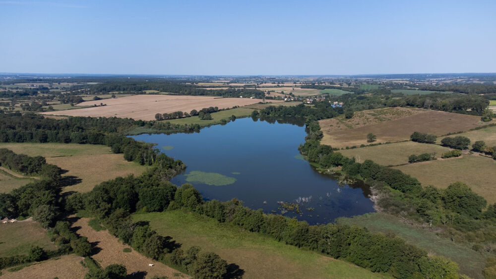 � vendre  Villa Saint-Jeanvrin (18370)