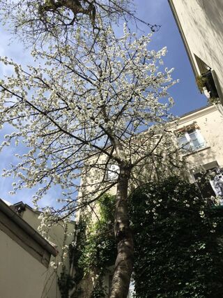  Appartement à vendre 3 pièces 103 m²