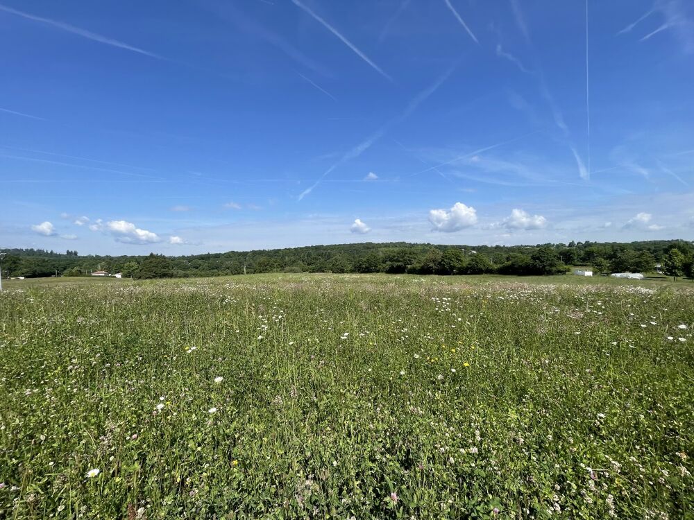 Vente Terrain Terrain constructible Feytiat