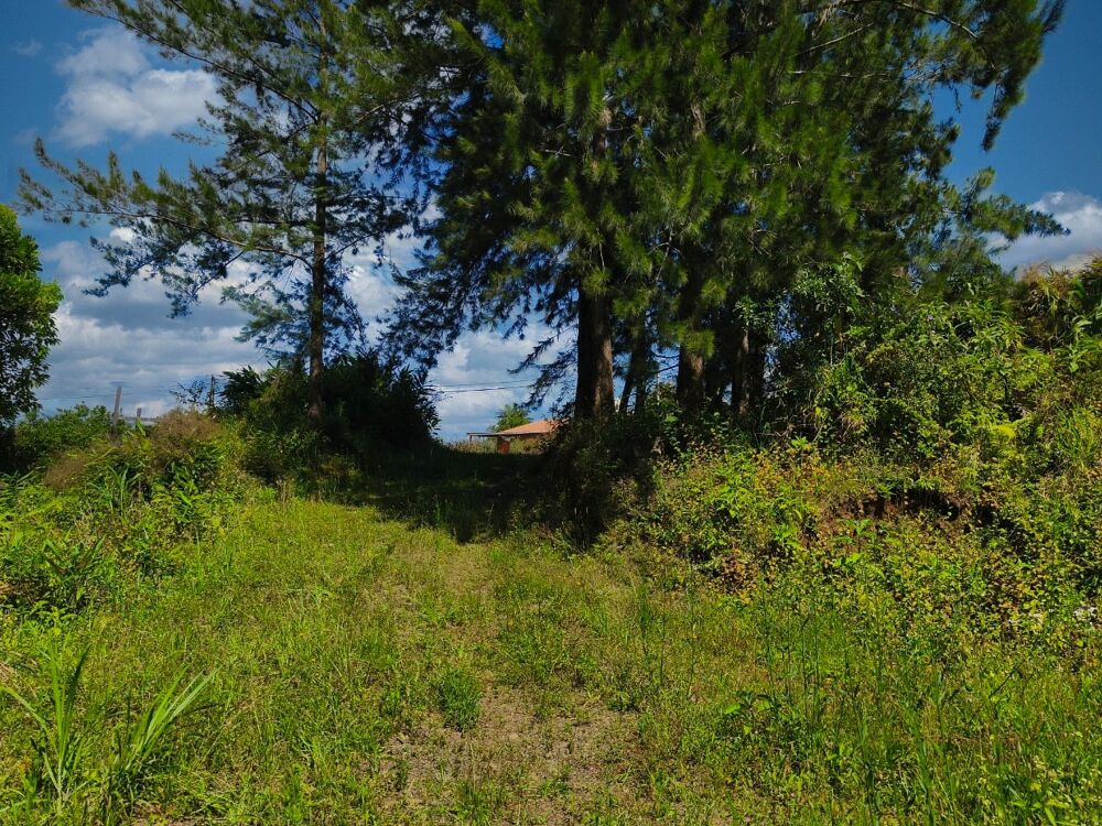 Vente Terrain Terrain Petite ile