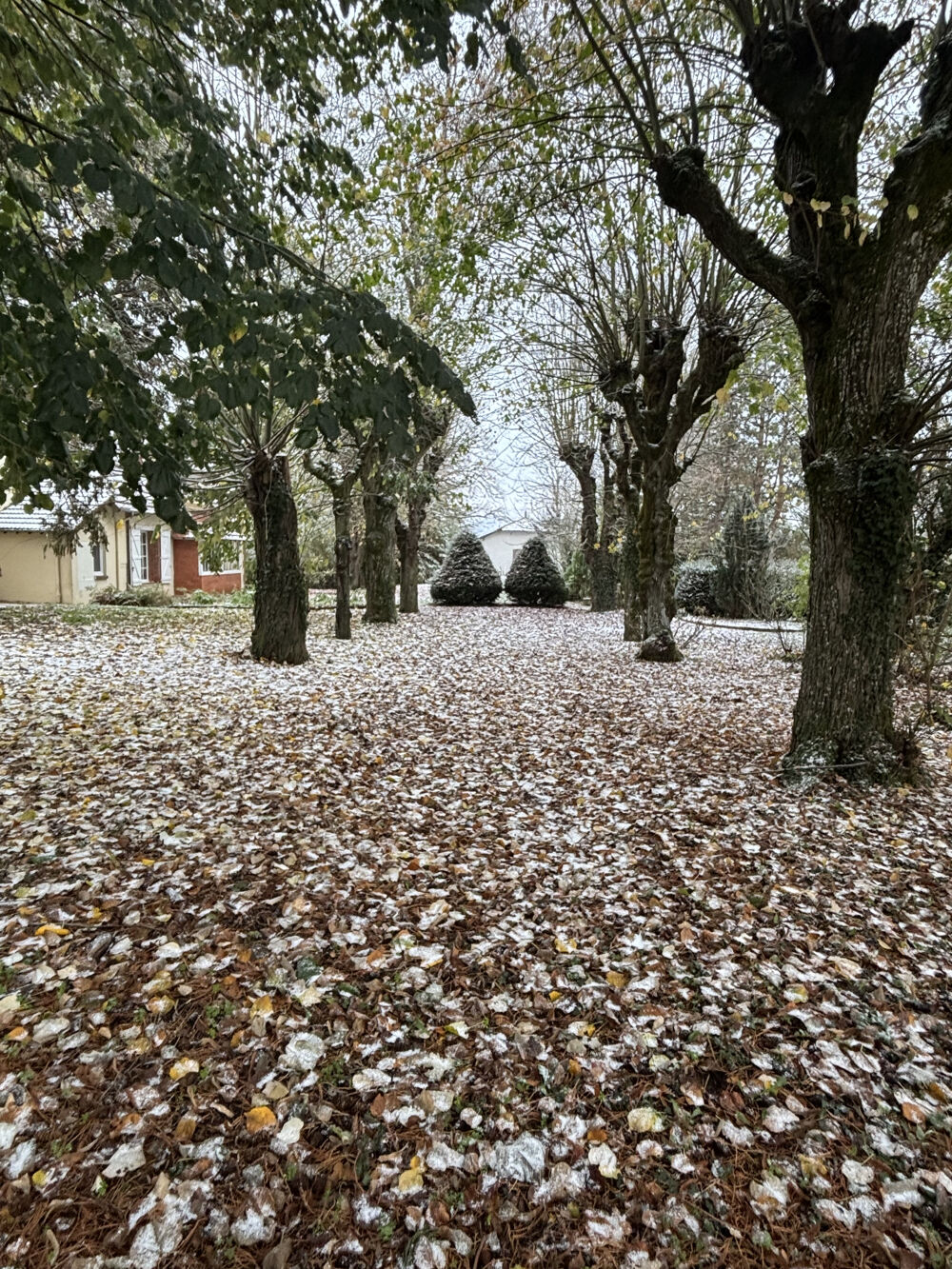  vendre  Maison Bonny-sur-Loire (45420)