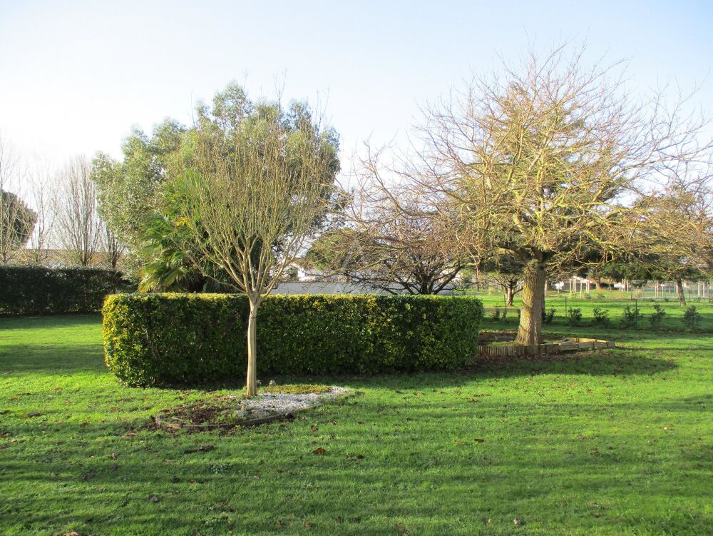 Vente Maison Maison Saint vincent sur jard