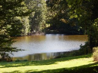  Propriété/château à vendre 15 + pièces 511 m²
