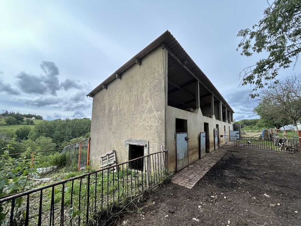 Vente Terrain Terrain agricole Saint jean pierre fixte