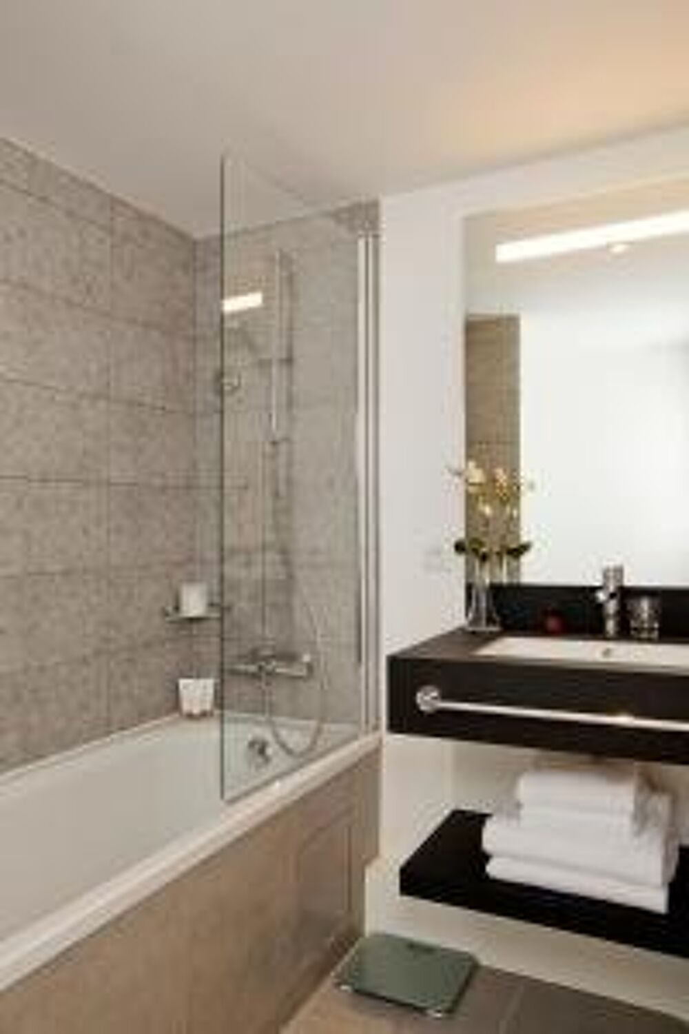 Vente Appartement Résidence Affaires Puteaux