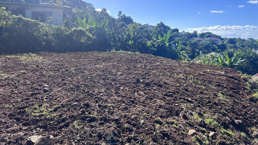 Vente Terrain Terrain constructible Ducos