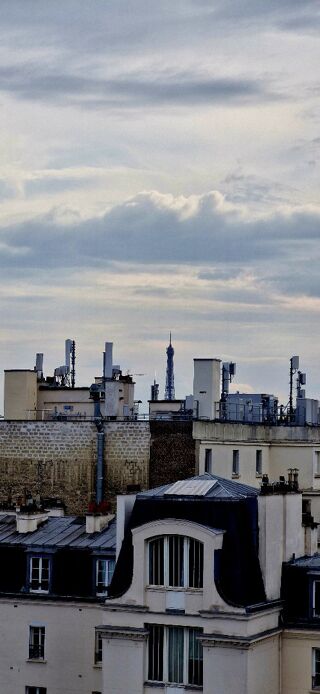  Appartement  vendre 1 pice 11 m