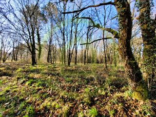  Terrain � vendre 3390 m�