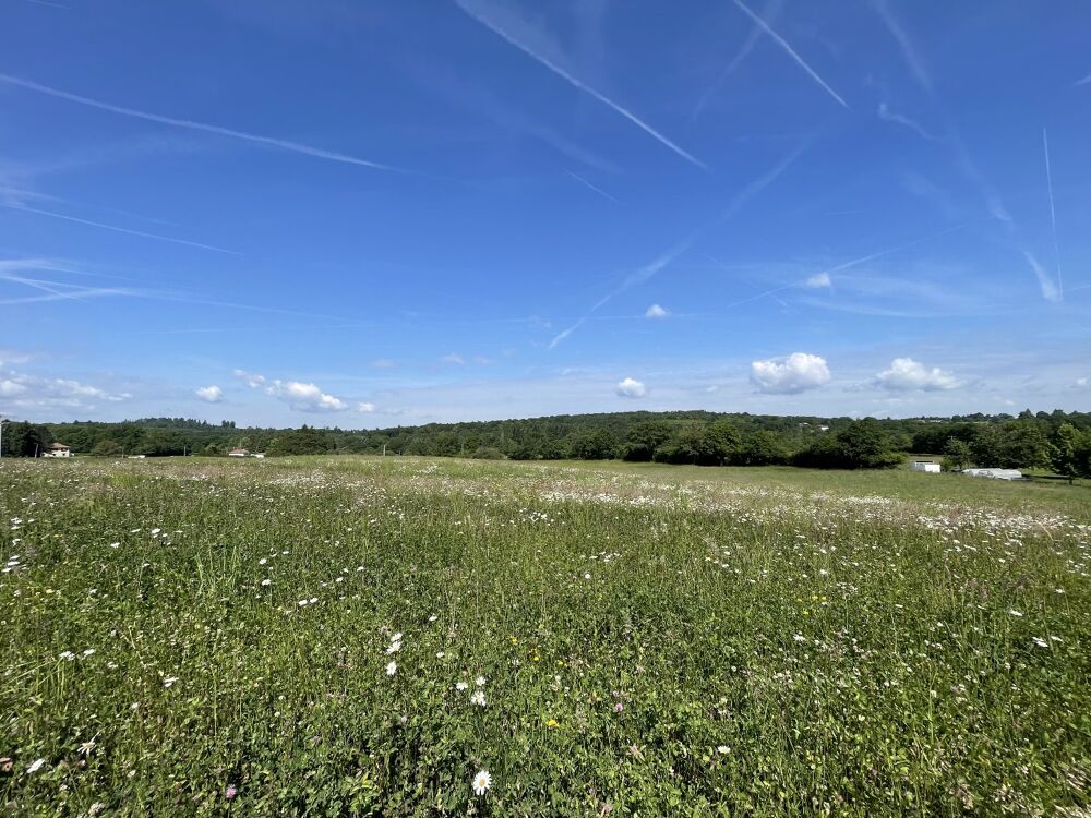 Vente Terrain Terrain constructible Feytiat