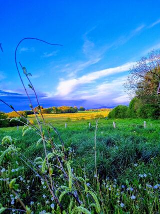  Maison � vendre 8 pi�ces 173 m�