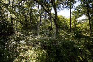  Terrain � vendre 2300 m�