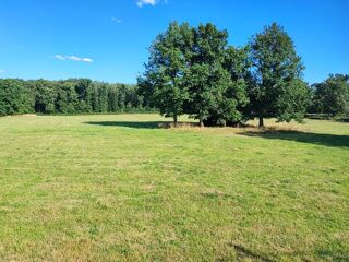  Terrain  vendre 1300 m