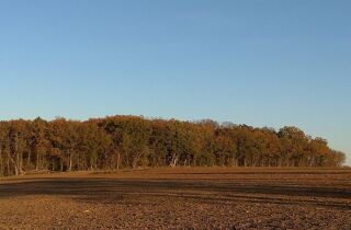  Terrain � vendre 810000 m�