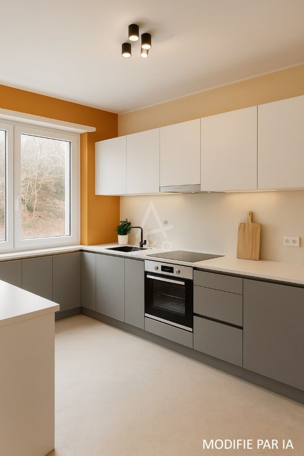 Appartement ancien