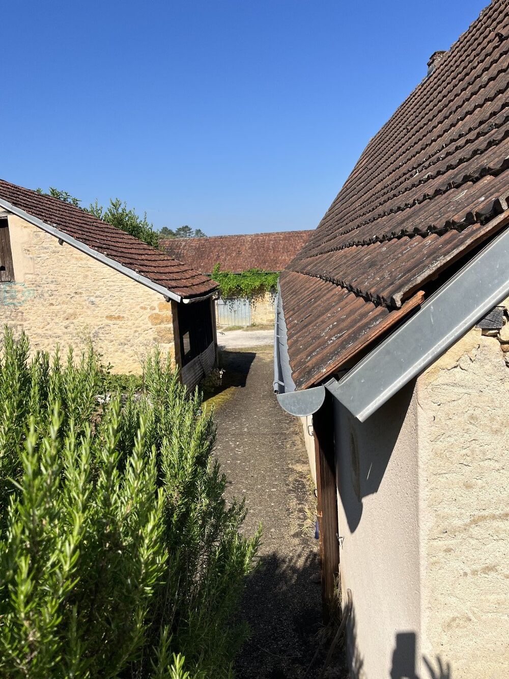 Vente Maison Maison et dépendances Montignac