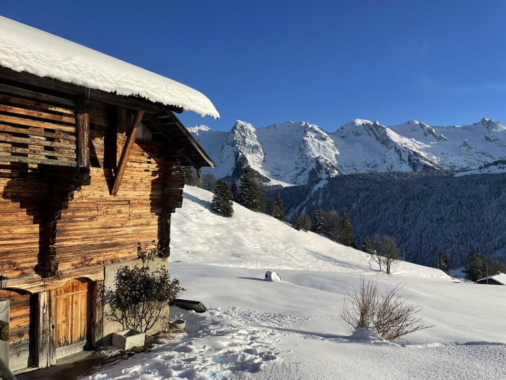 Vente Villa Chalet Le grand bornand