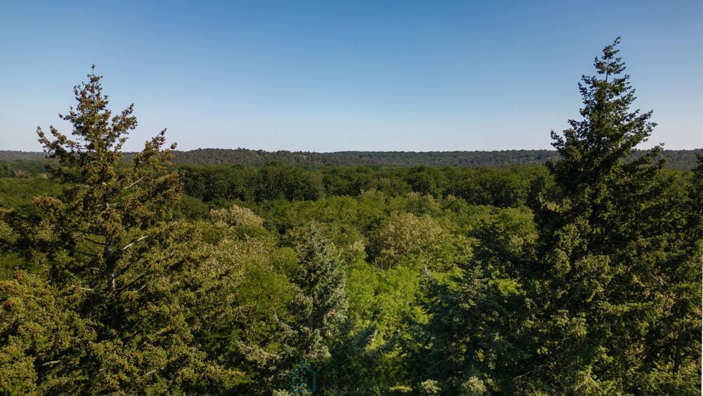 Vente Appartement Appartement Barbizon