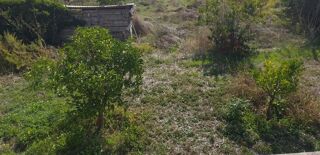  Terrain  vendre 1500 m