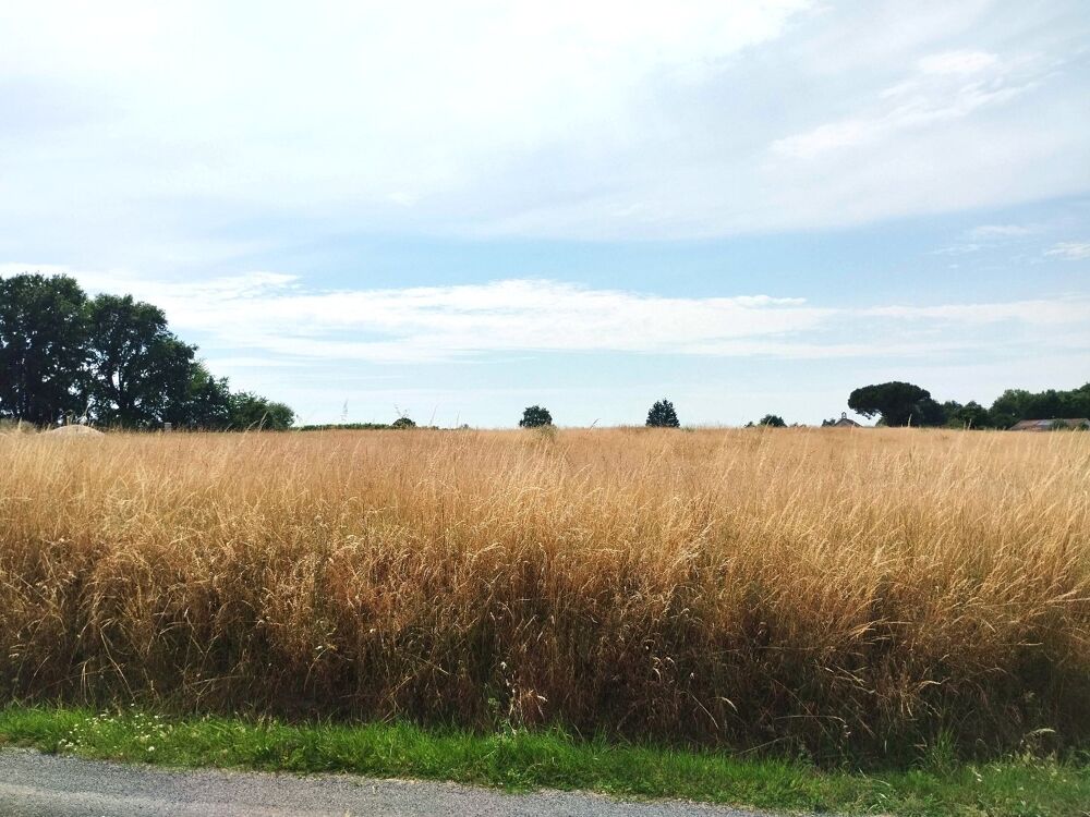 Vente Terrain Terrain Merignac