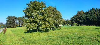  Terrain � vendre 1950 m�