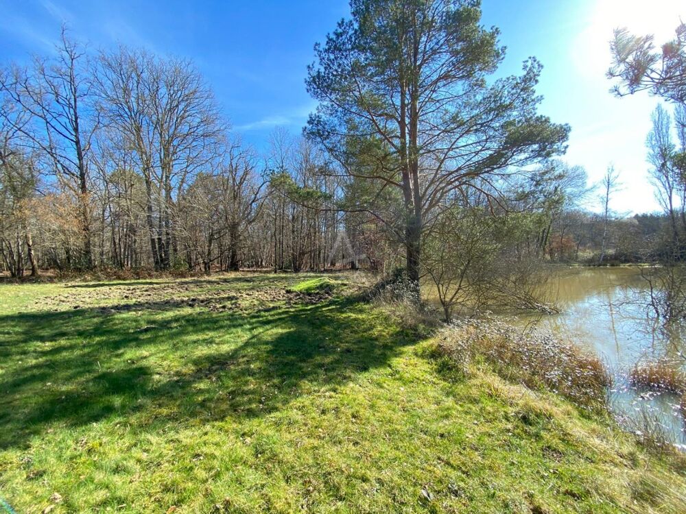 Vente Terrain Etang Saint brisson sur loire