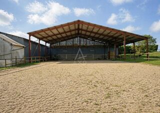 Villa � vendre 11 pi�ces 390 m�
