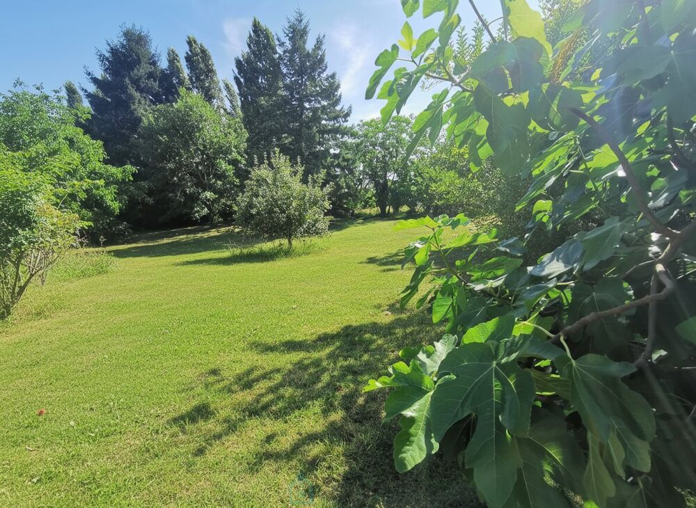 � vendre  Villa Amboise (37400)