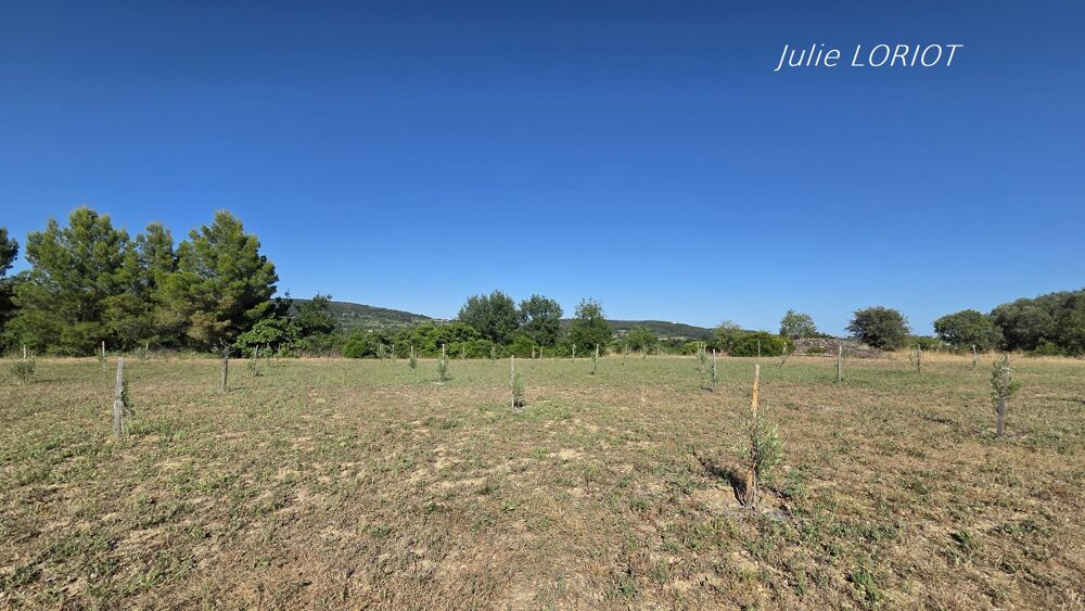 Vente Terrain Terrain agricole Neffies