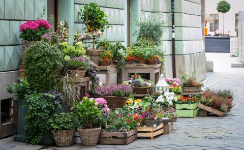   Fleuriste 