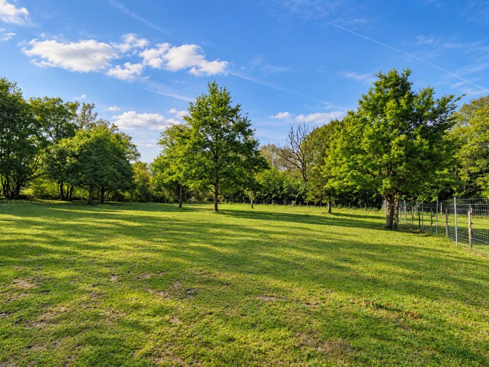 Vente Terrain Terrain de loisir Conflans sur loing