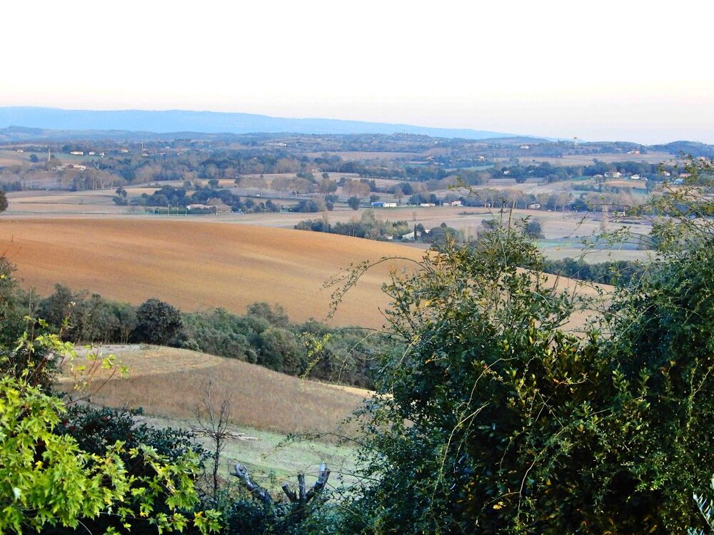  vendre  Villa Montgaillard-Lauragais (31290)