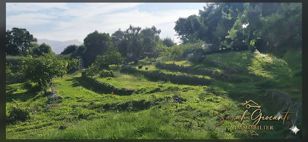 Vente Terrain Terrain Alata