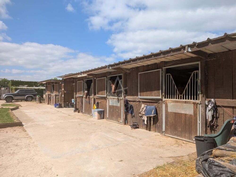 Haras / Equestre