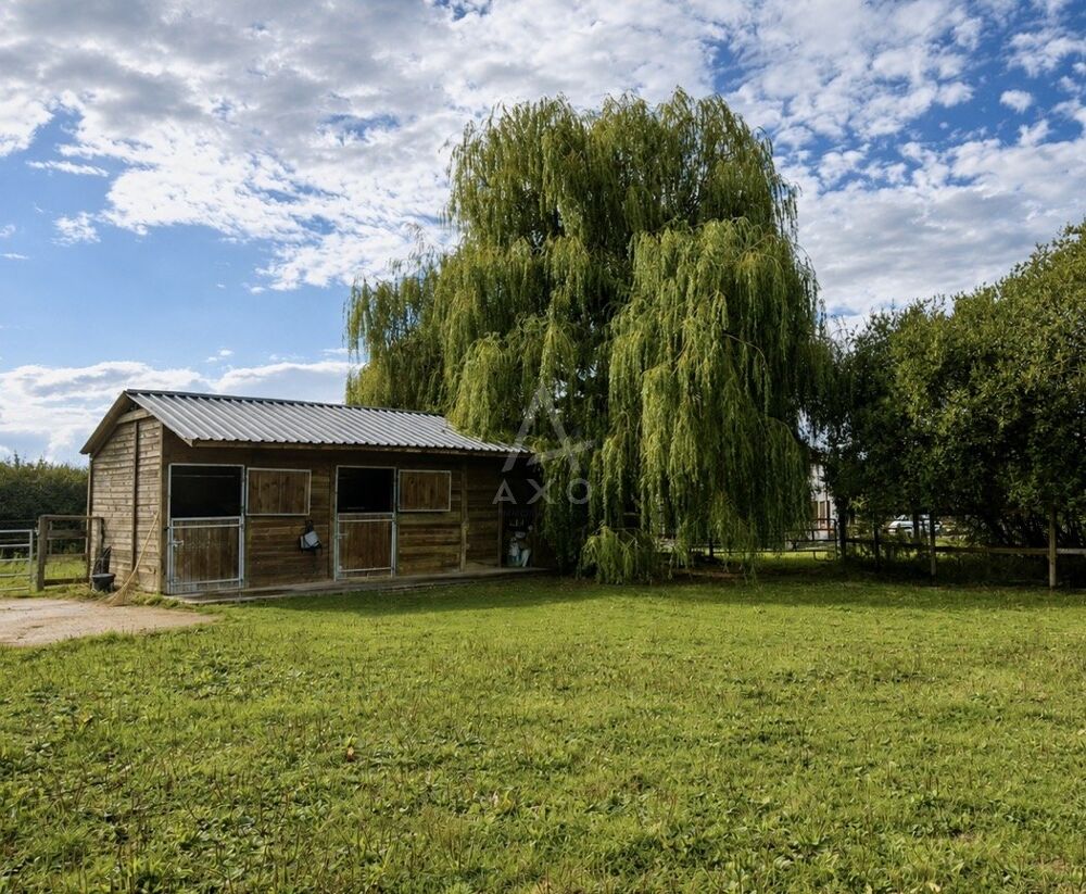 Haras / Equestre