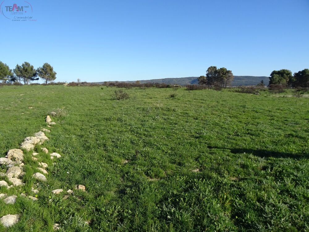 Vente Terrain Terrain agricole Poussan