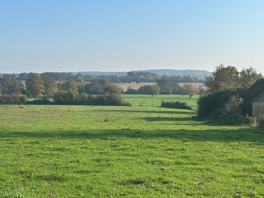 � vendre  Maison La Fert�-Bernard (72400)