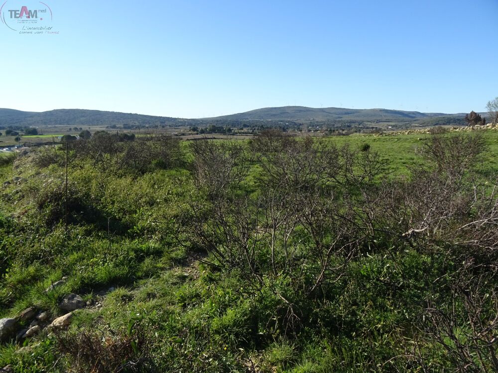 Vente Terrain Terrain agricole Poussan