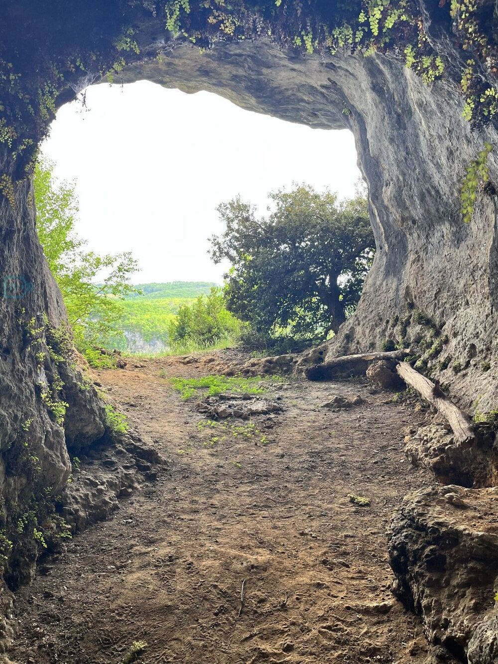 à vendre  Maison Saint-Léon-sur-Vézère (24290)