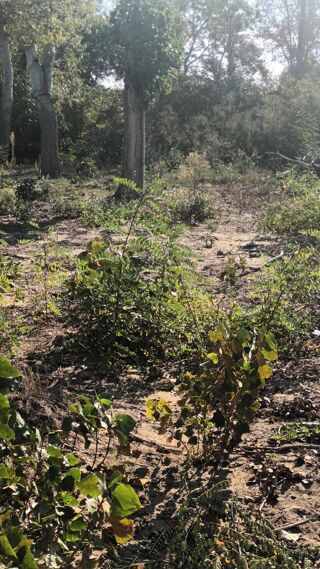  Terrain � vendre 802 m�