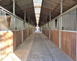  Terrain � vendre 6 pi�ces 44482 m�