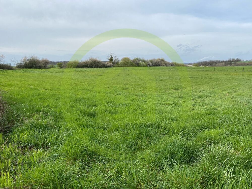 Vente Terrain Terrain Velleminfroy