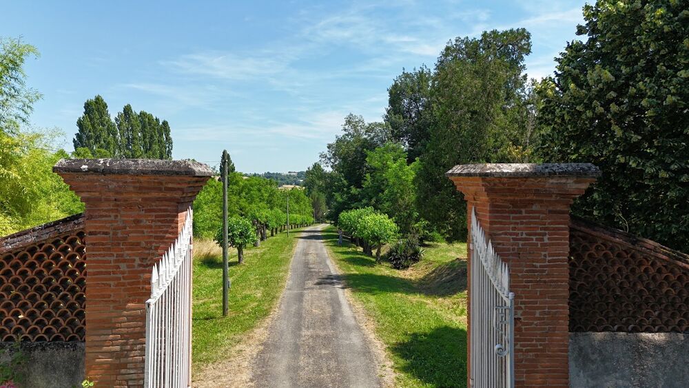 � vendre  Propri�t�/ch�teau Labastide-Saint-Pierre (82370)