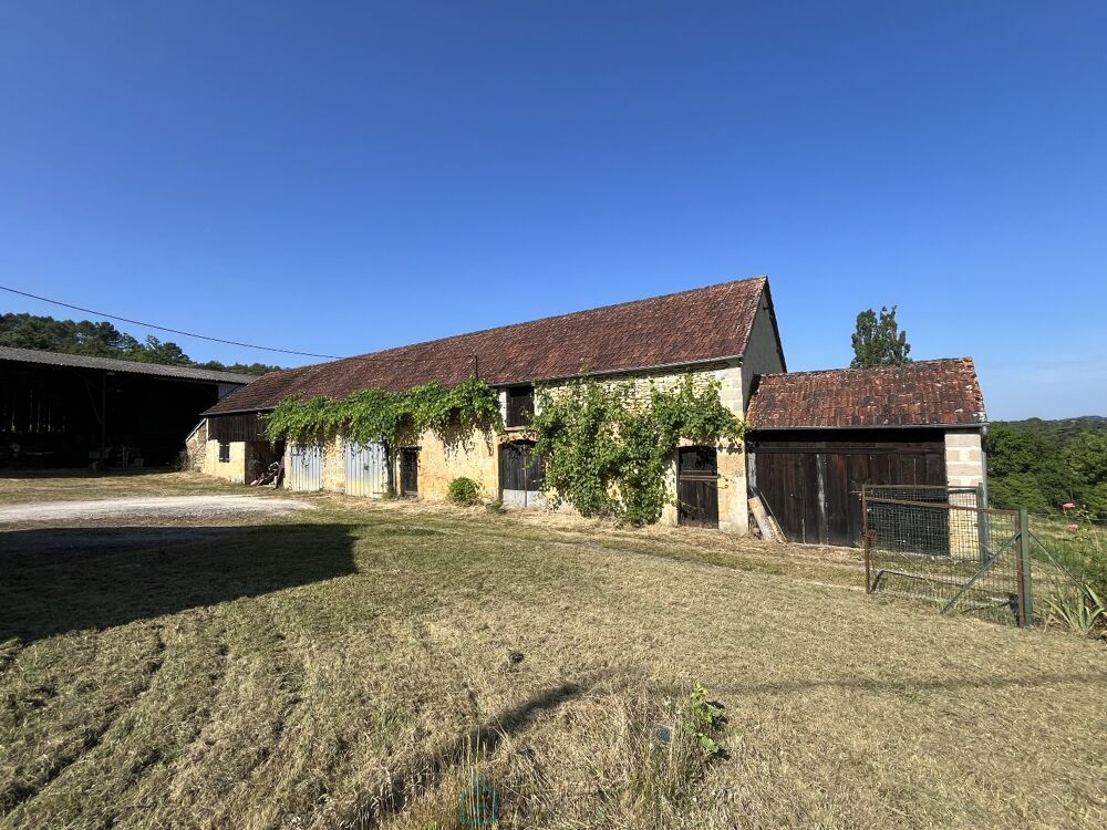 Vente Maison Maison et dépendances Montignac