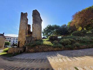  Maison � vendre 15 + pi�ces 334 m�