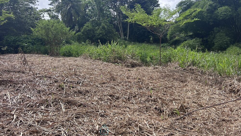 Vente Terrain Terrain constructible Le lamentin