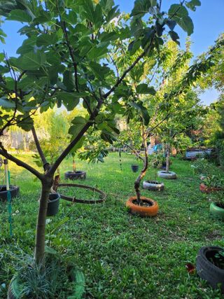  Maison � vendre 2 pi�ces 60 m�