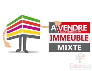  Immeuble � vendre 522 m�