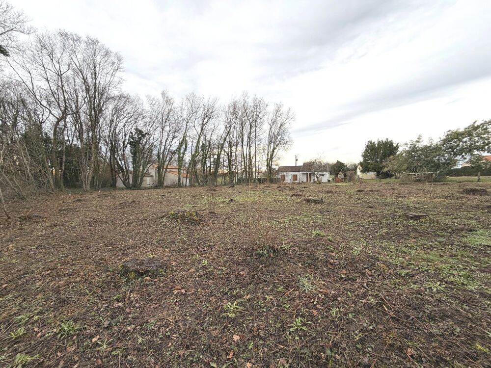 Vente Terrain Terrain Tesson