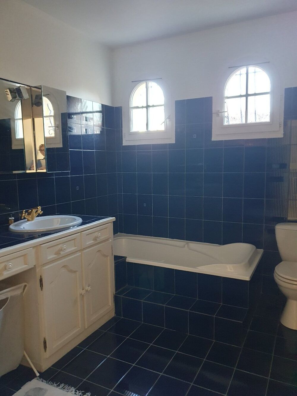  vendre  Villa Toulouse (31500)